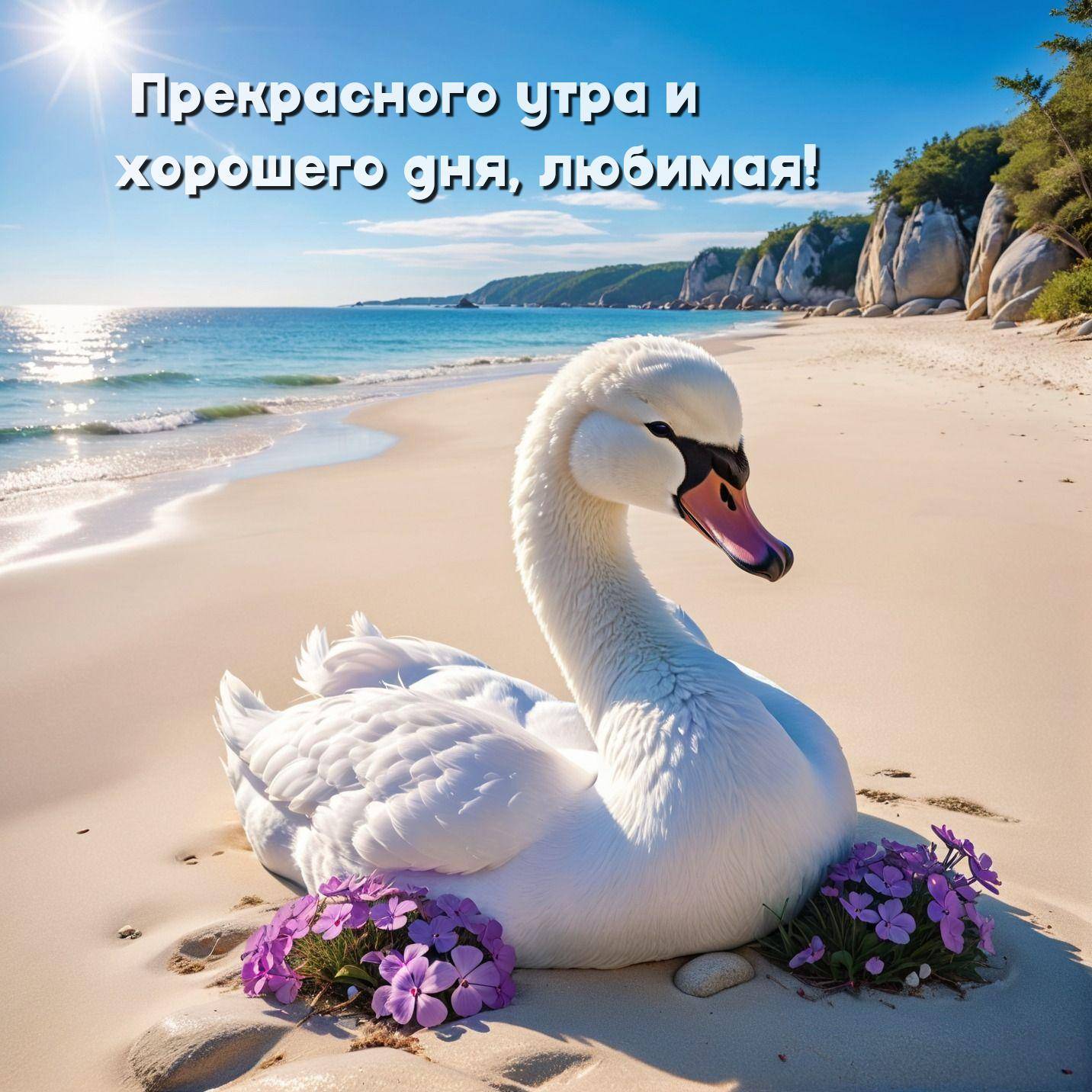 Белый лебедь на песчаном пляже с фиолетовыми цветами