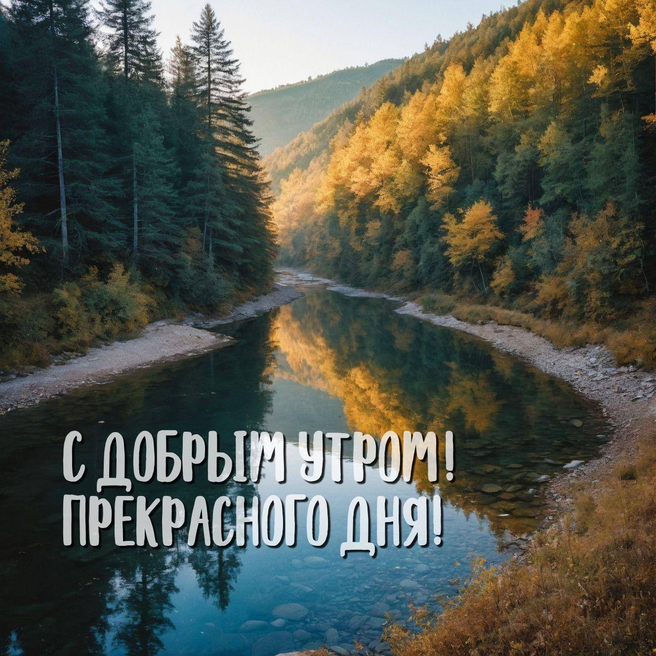 Красивая сцена с рекой и лесом
