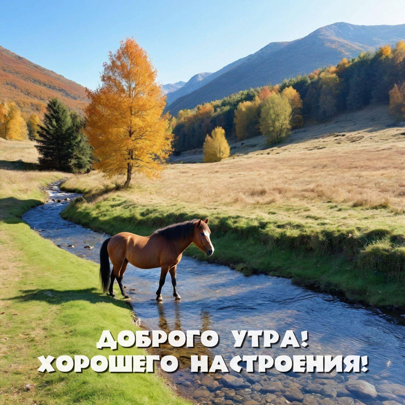 Лошадь стоит в реке в живописной долине