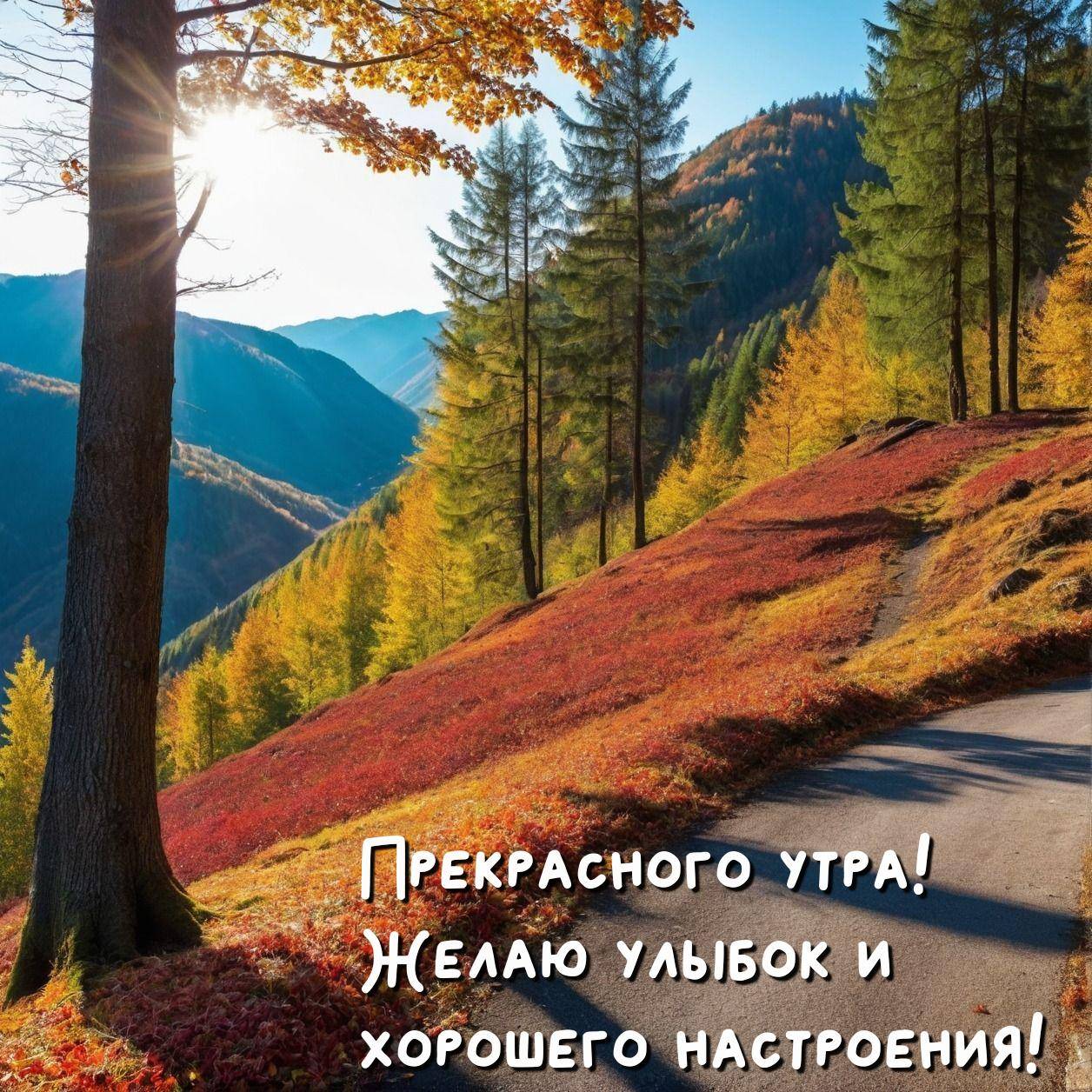 Осенний пейзаж с дорожкой