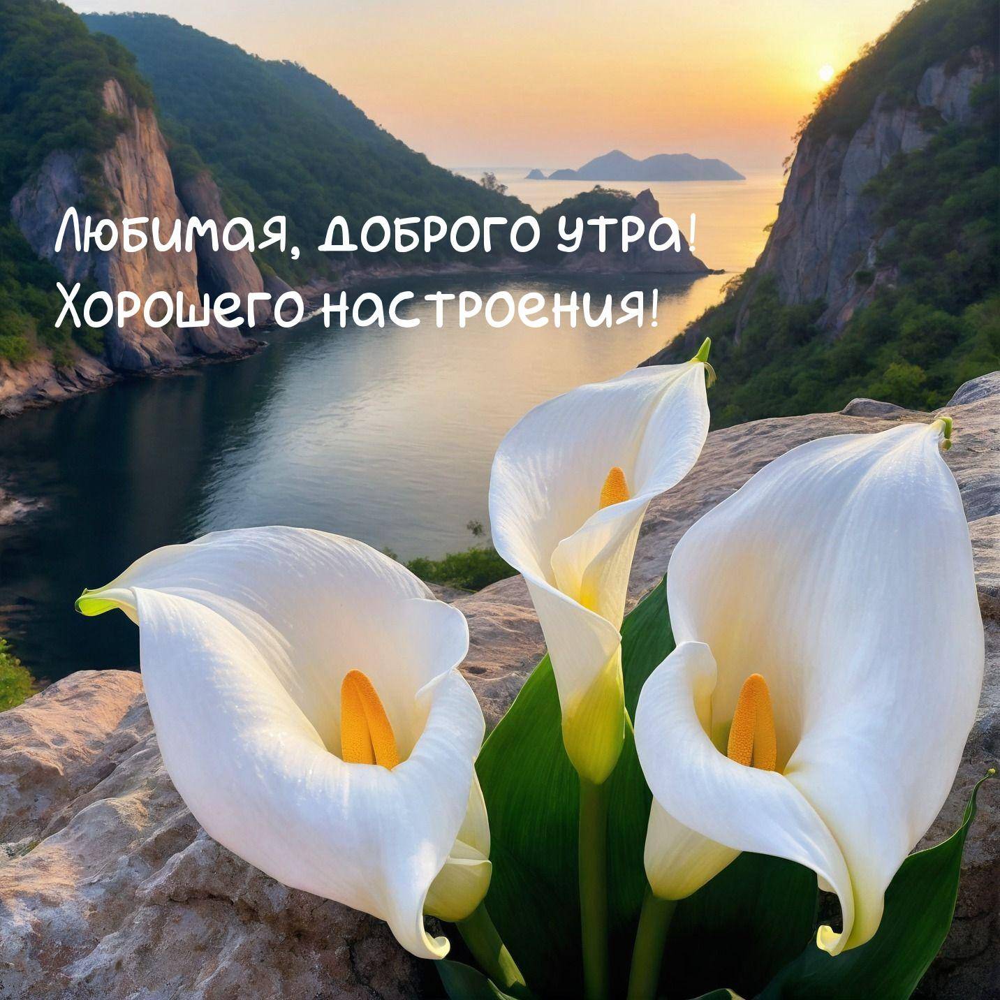Три белых цветка каллы на каменистом выступе