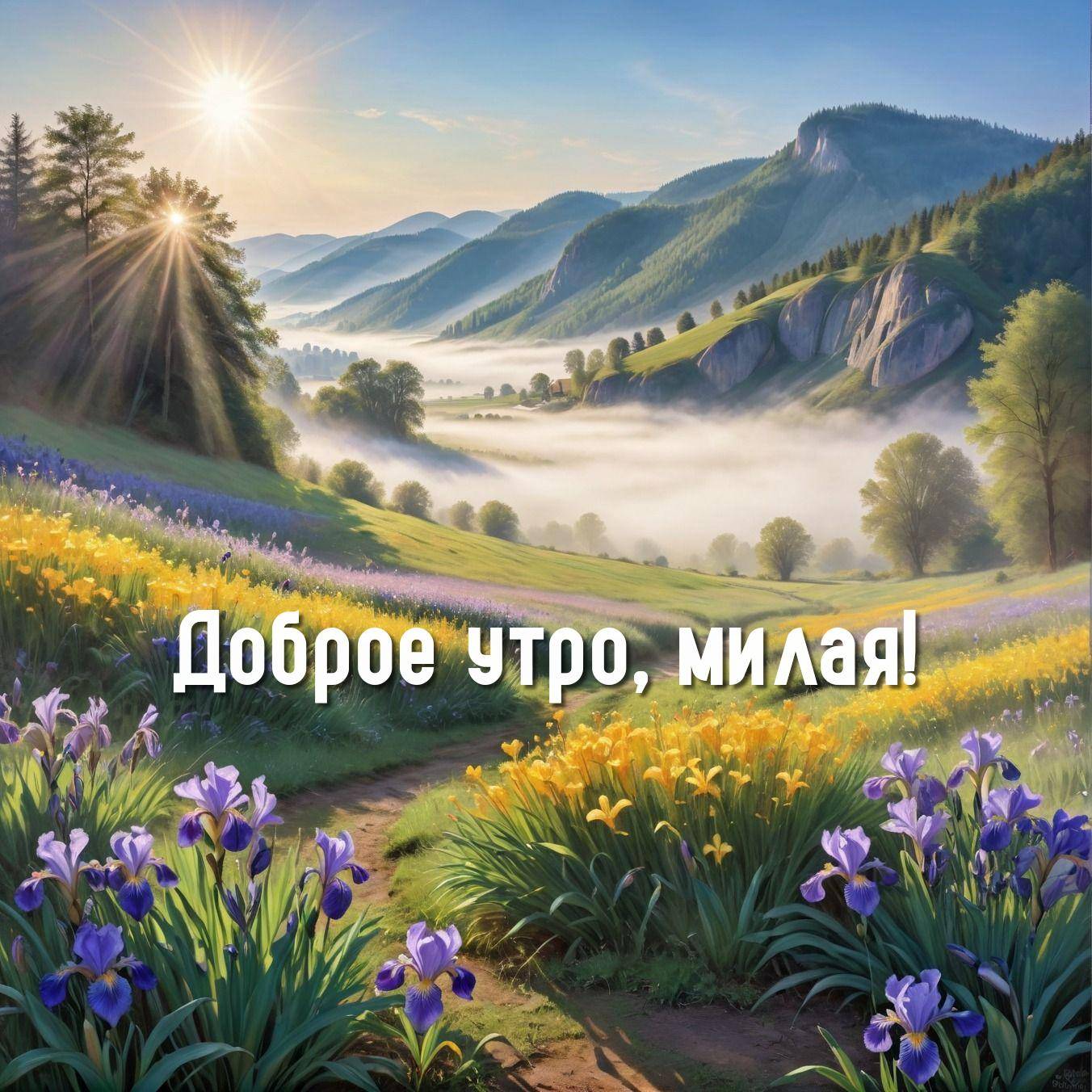 Яркие фиолетовые и жёлтые ирисы на зелёной траве