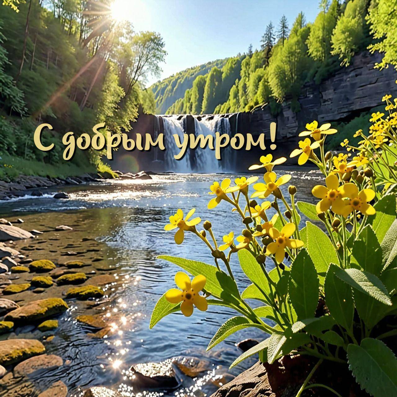 Яркие жёлтые цветы и водопад среди зелени