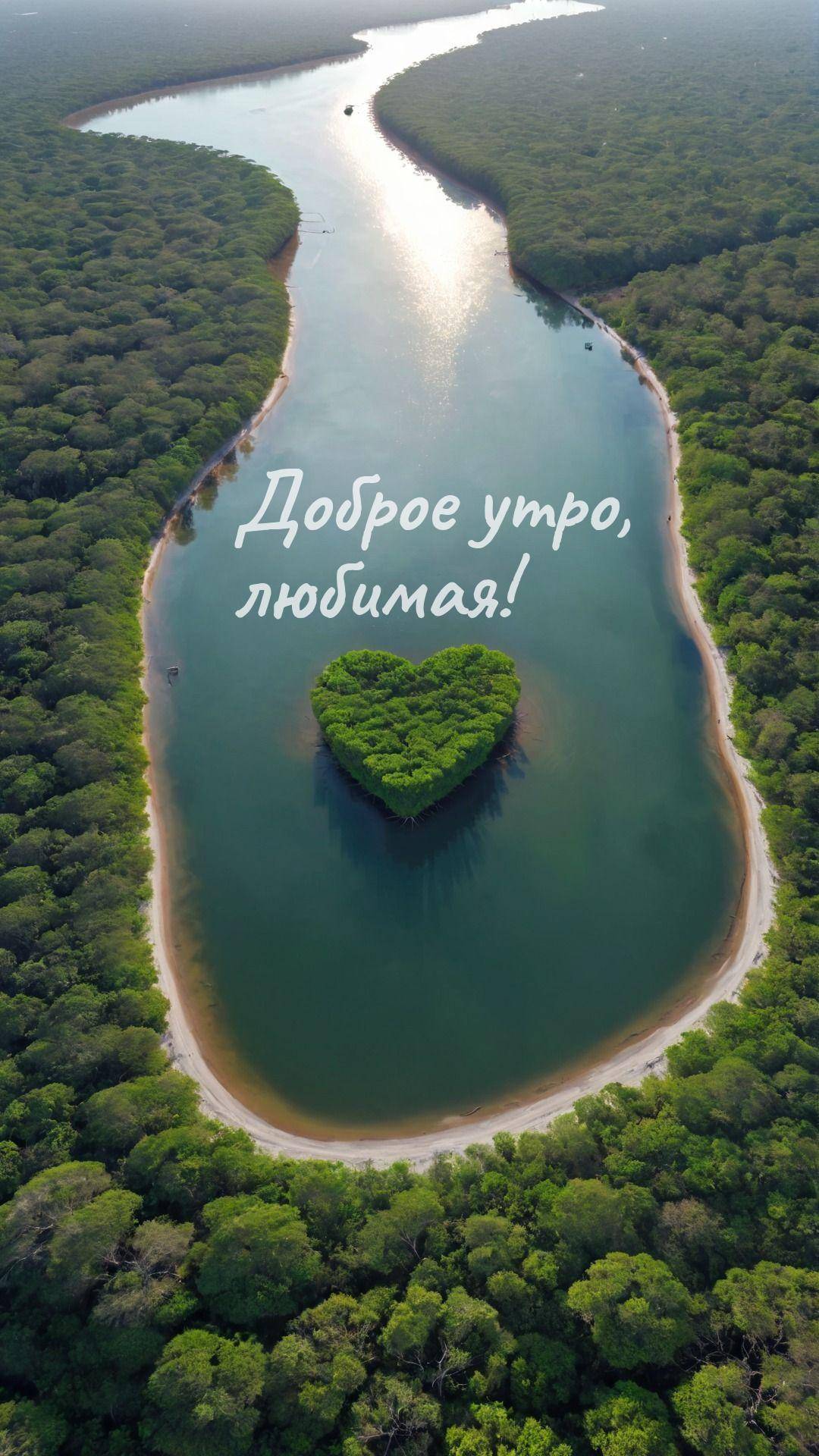 Живописная сцена с рекой и тропиками