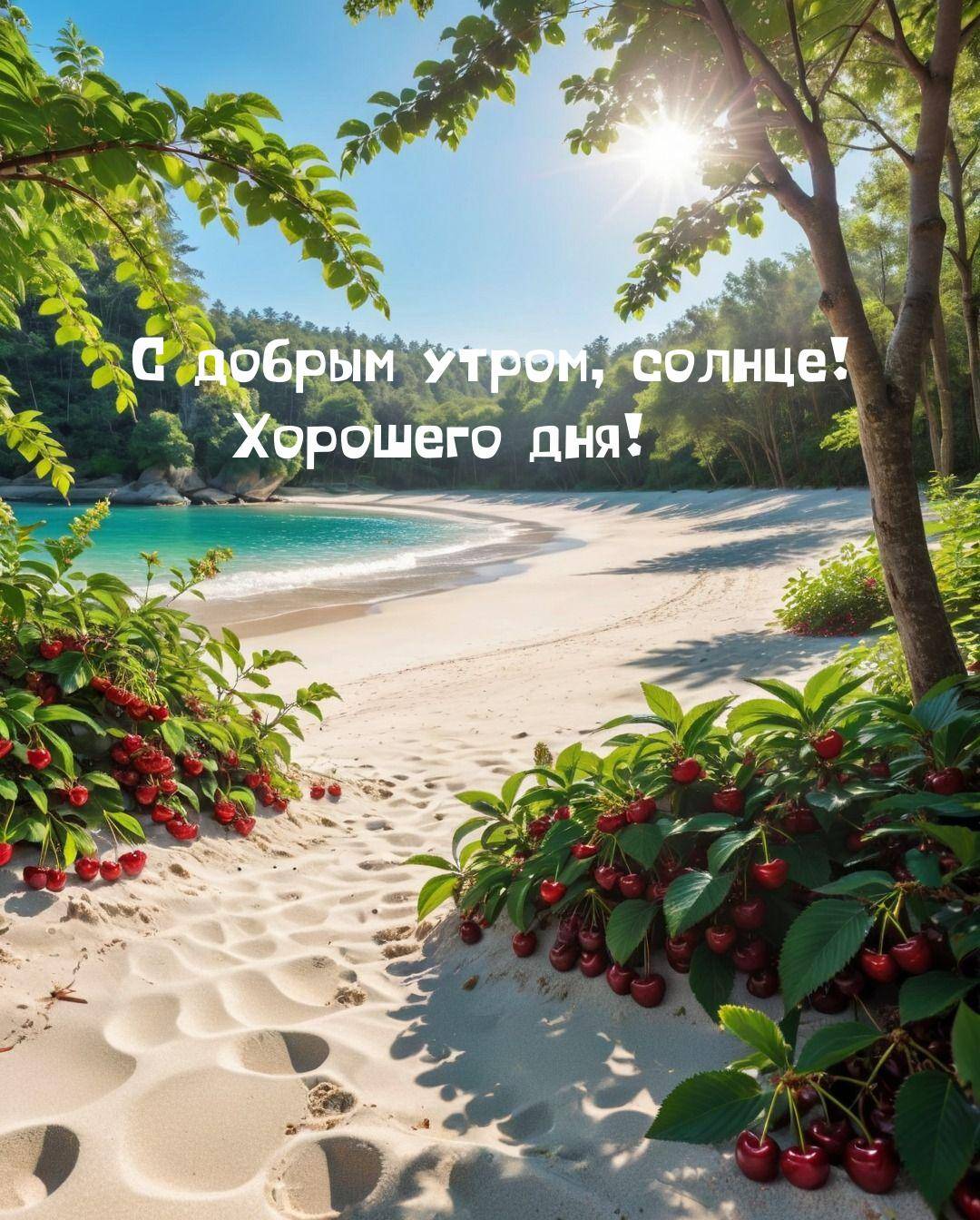 Живописный пляж с песком и кустами с плодами